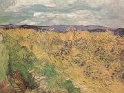 Vincent Van Gogh Whear Field with Cornflowers (nn04) Spain oil painting artist